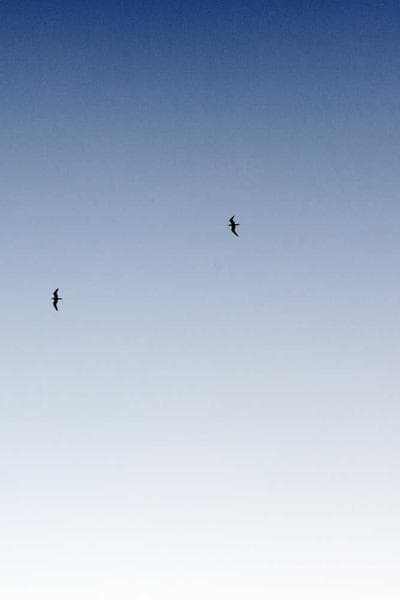 Poster for Hidden Mirror