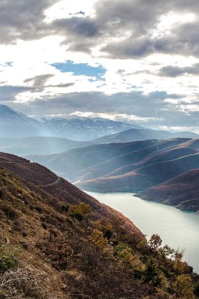 Poster for Shallow Bloom