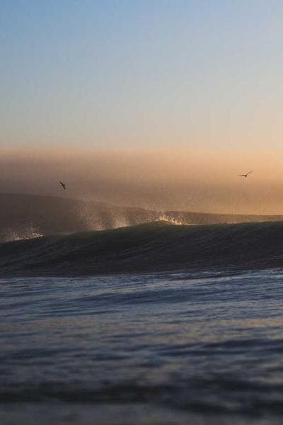 Poster for Rising Garden