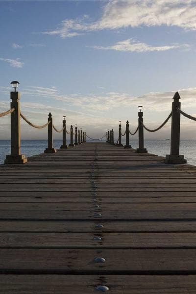 Poster for Velvet Star