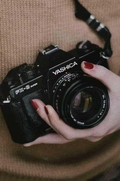 Poster for Pale Harbor