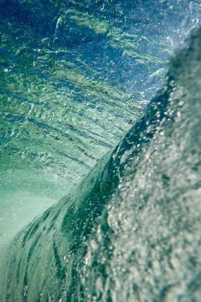 Poster for Lost Bloom