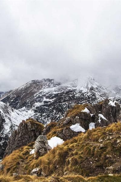 Poster for Midnight Star