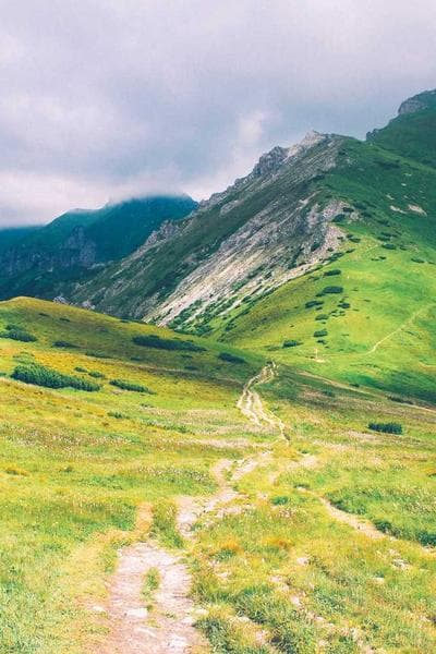 Poster for Forgotten Ocean