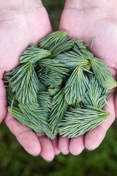 Poster for Lost Shadow