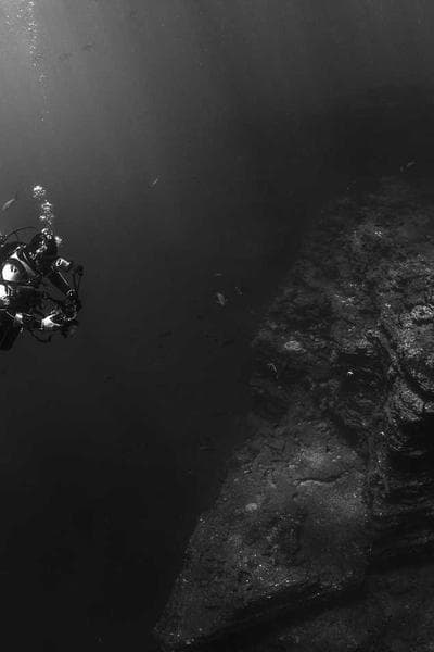 Poster for Rising Garden