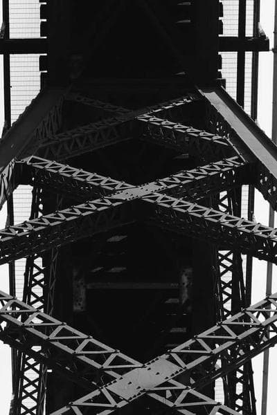 Poster for Wild Whisper