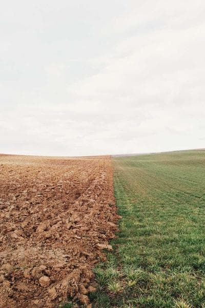 Poster for Pale City