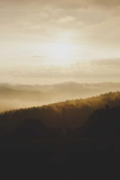 Poster for Eternal Bloom