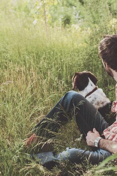 Poster for Midnight Ash