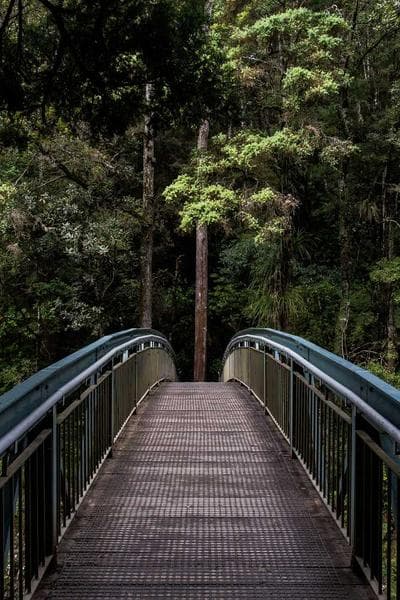 Poster for Luminous Mountain