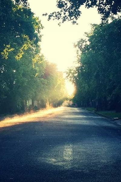 Poster for Hidden Letter