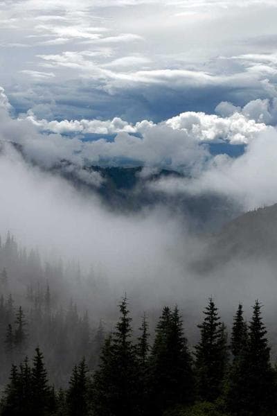 Poster for Endless Road