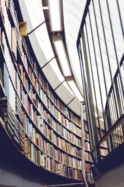 Poster for Shallow Hunter