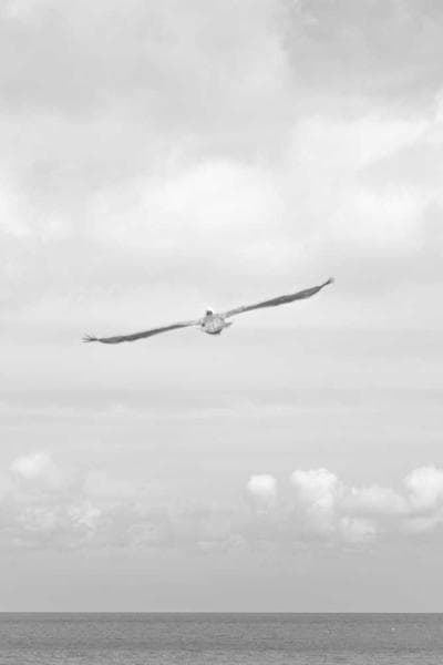 Poster for Hidden Machine