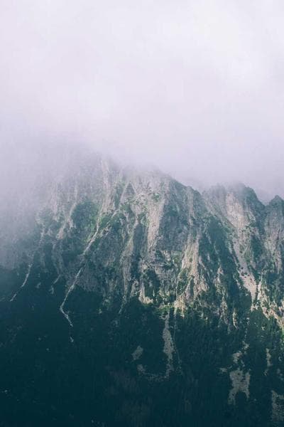 Poster for Pale Flame