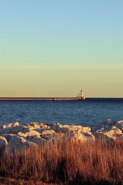 Poster for Hidden Forest