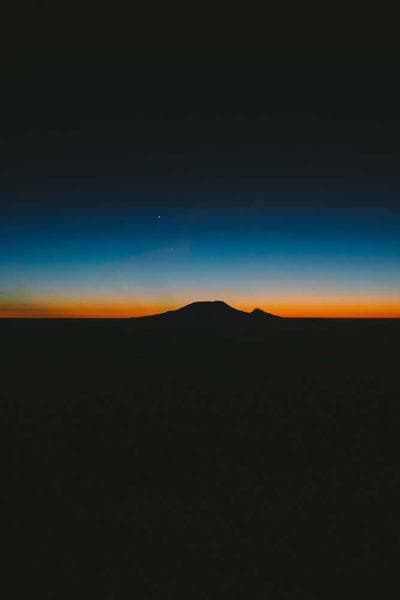 Poster for Broken Forest