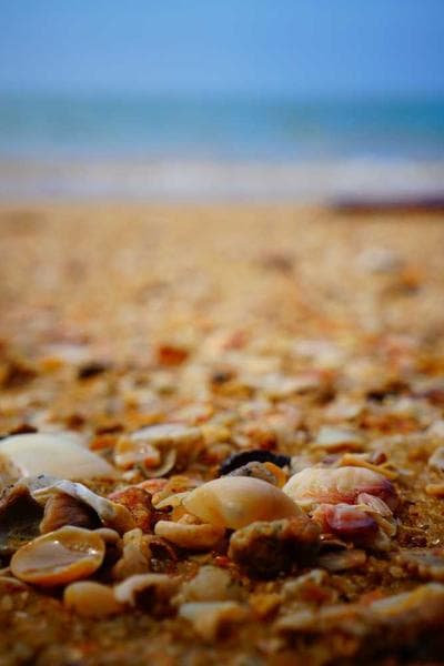 Poster for Golden Sky