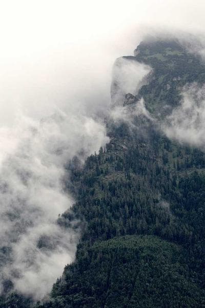 Poster for Radiant Rain