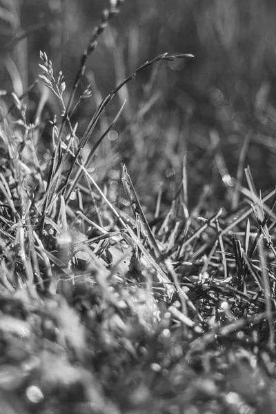 Poster for Shallow Road