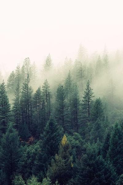 Poster for Southern Requiem