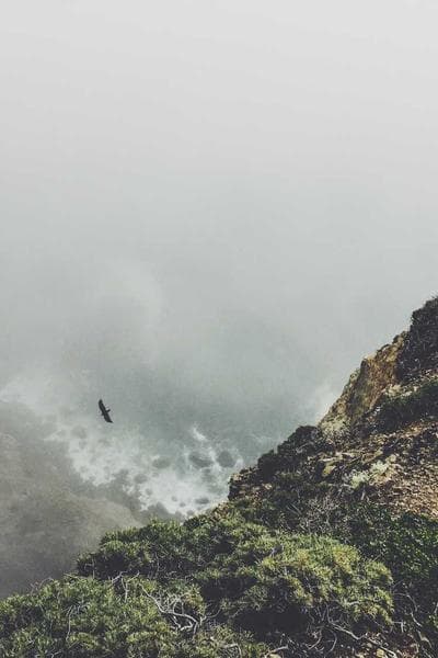 Poster for Midnight Ocean