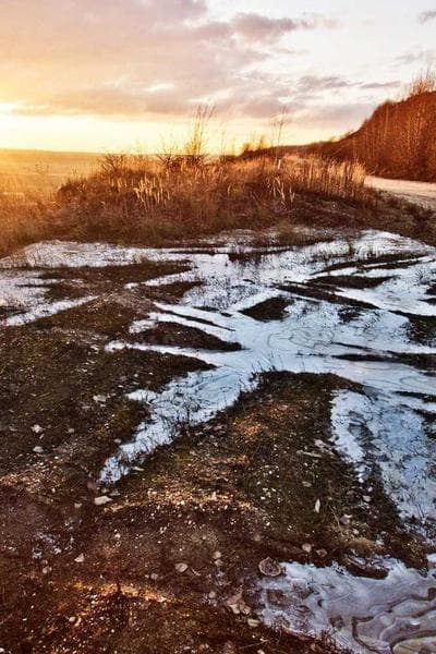 Poster for Golden Machine