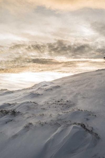 Poster for Southern Ocean