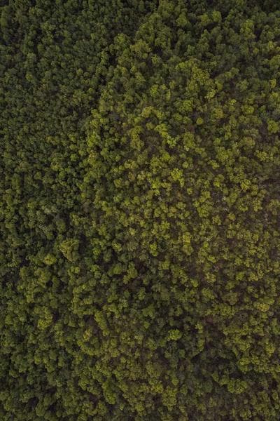 Poster for Burning Road