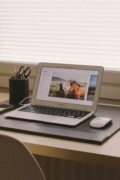 Poster for Nocturnal Forest