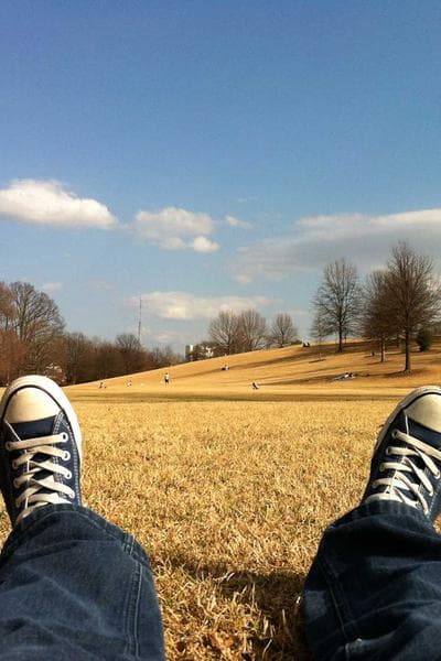 Poster for Wandering Witness