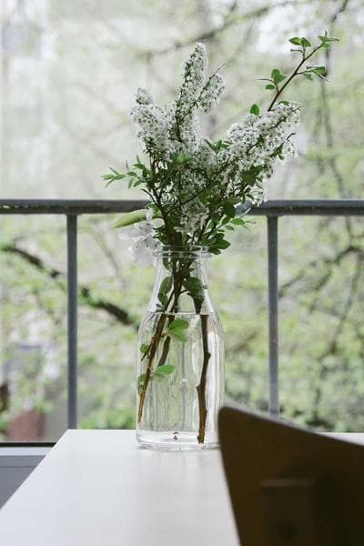 Poster for Tender Mountain