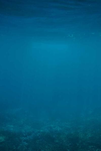 Poster for First Shadow