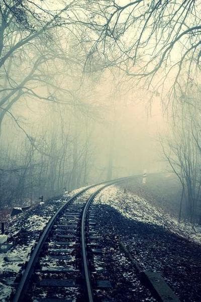 Poster for Nocturnal Bloom