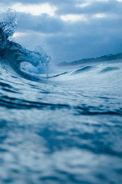 Poster for Radiant Forest