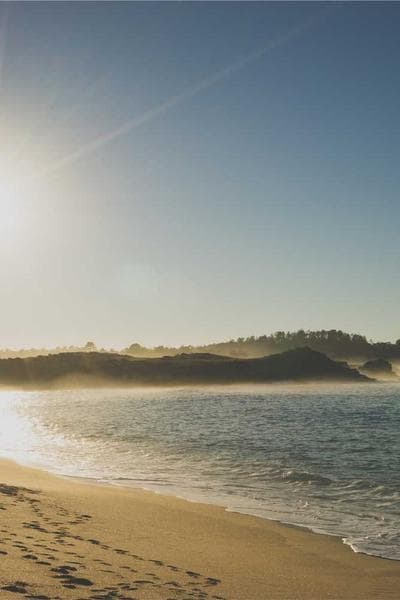 Poster for Golden Hunter