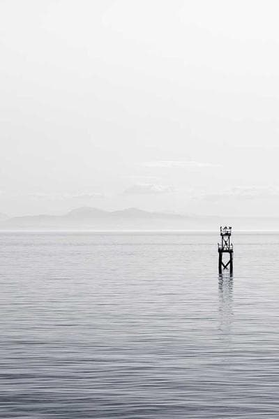 Poster for Pale Harbor