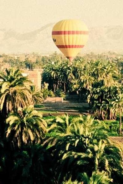 Poster for Wandering Requiem