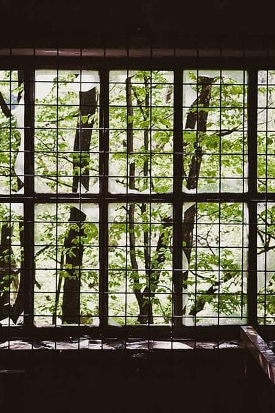 Poster for Fallen Light