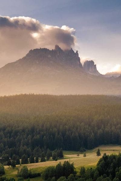 Poster for Pale Witness