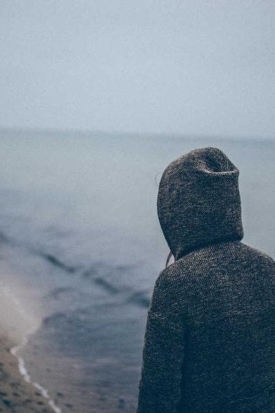 Poster for Hidden Hunter