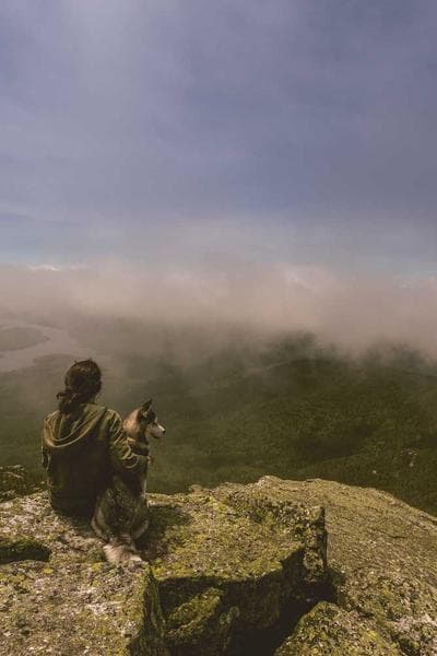 Poster for Quiet Echo