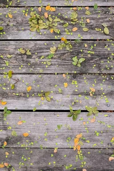 Poster for Luminous Ocean