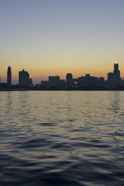 Poster for Southern Bloom