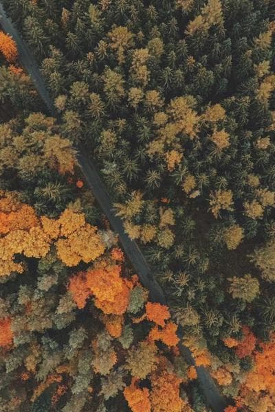 Poster for Northern Ocean