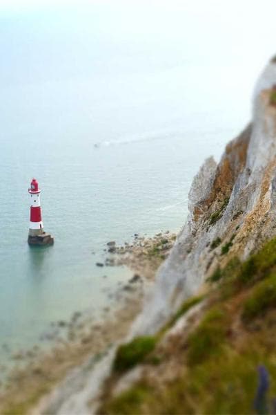 Poster for Hidden Forest