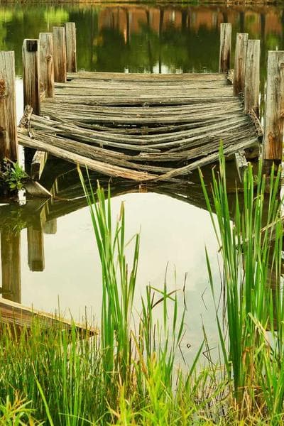 Poster for Gentle Garden