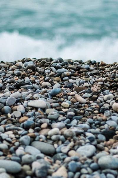 Poster for Shallow Kingdom