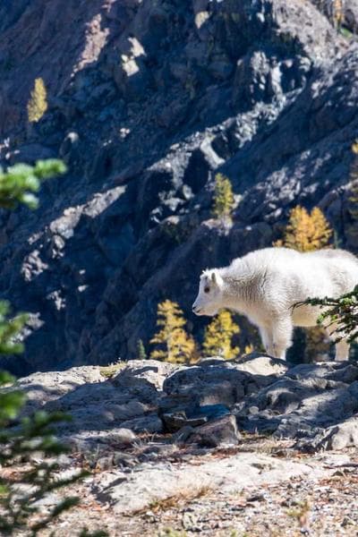 Poster for Deep Mountain